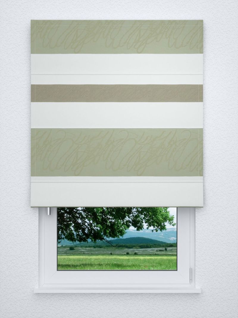 Raffrollo classic in grün