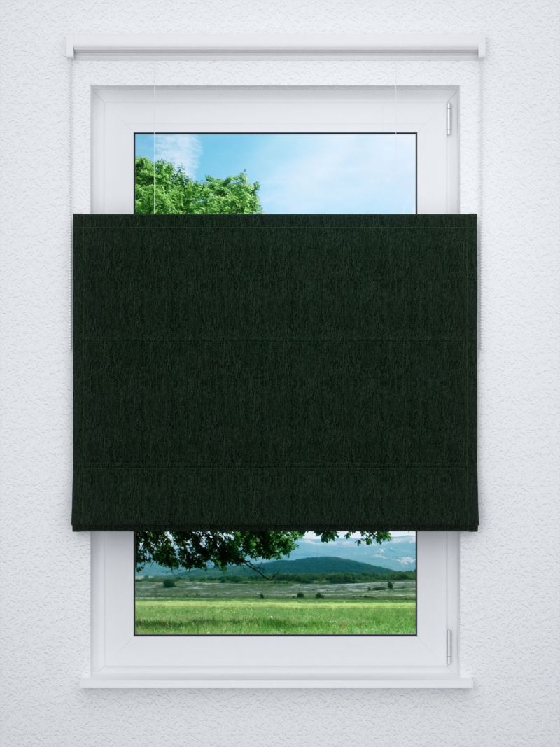 Raffrollo professional in grün