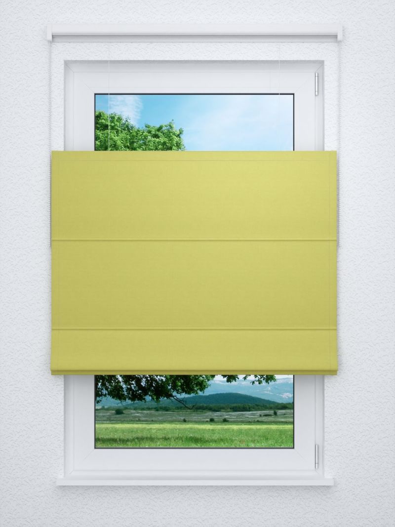 Raffrollo professional in Grün