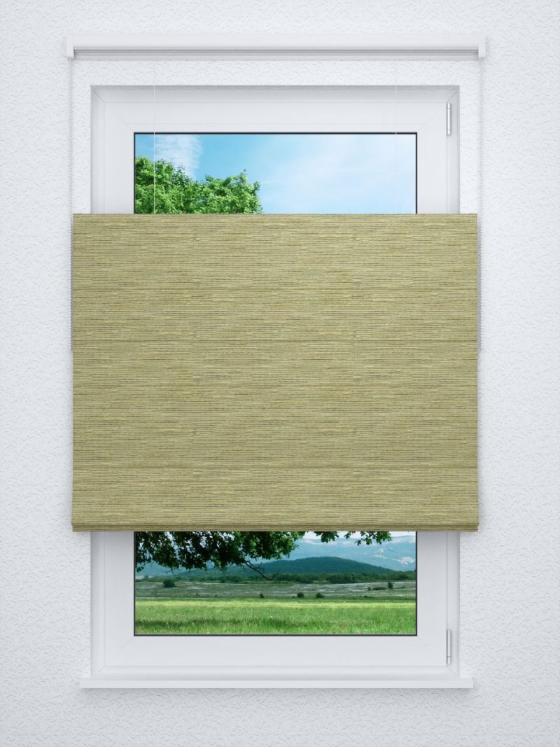 Raffrollo professional in grün