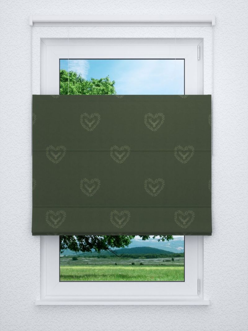 Raffrollo professional in Grün