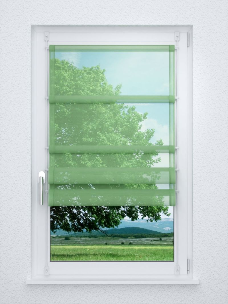 Raffrollo smart in Grün