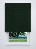 Raffrollo classic in grün