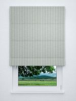 Raffrollo classic in Grün