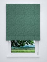 Raffrollo classic in grün