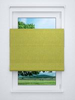 Raffrollo professional in grün