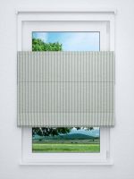 Raffrollo professional in Grün