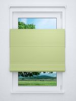 Raffrollo professional in grün