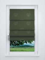 Raffrollo smart in Grün