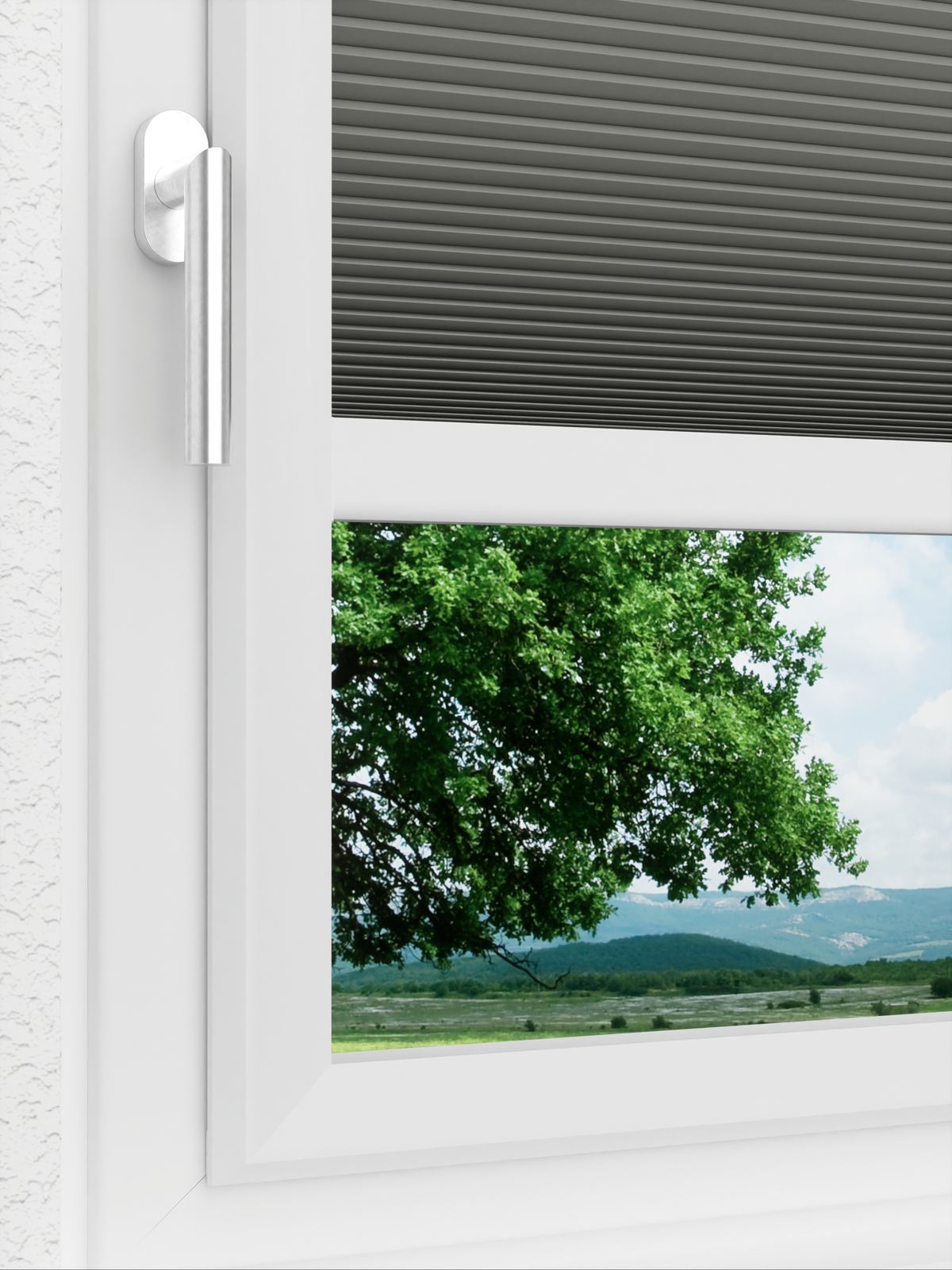 Detailansicht LYSEL HOME Plissee 002A Nana BO Wabe