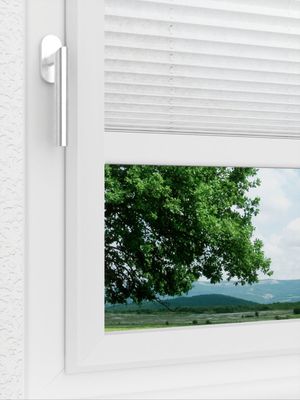 Preview LYSEL HOME Plissee 204A Arum 3