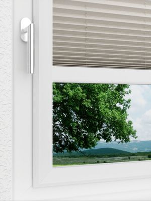 Preview LYSEL HOME Plissee 213A Betula BO 3