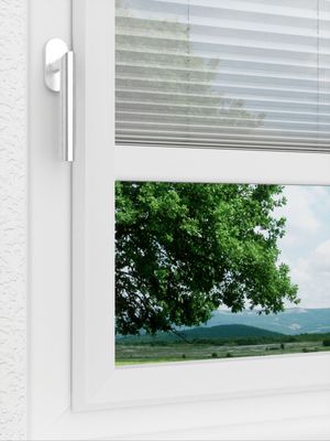 Preview LYSEL HOME Plissee 113A Calluna 3