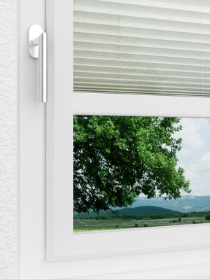 Preview LYSEL HOME Plissee 303A Arabis 3