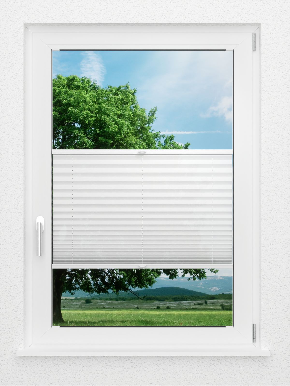 Detailansicht LYSEL HOME Plissee 205A Aralia