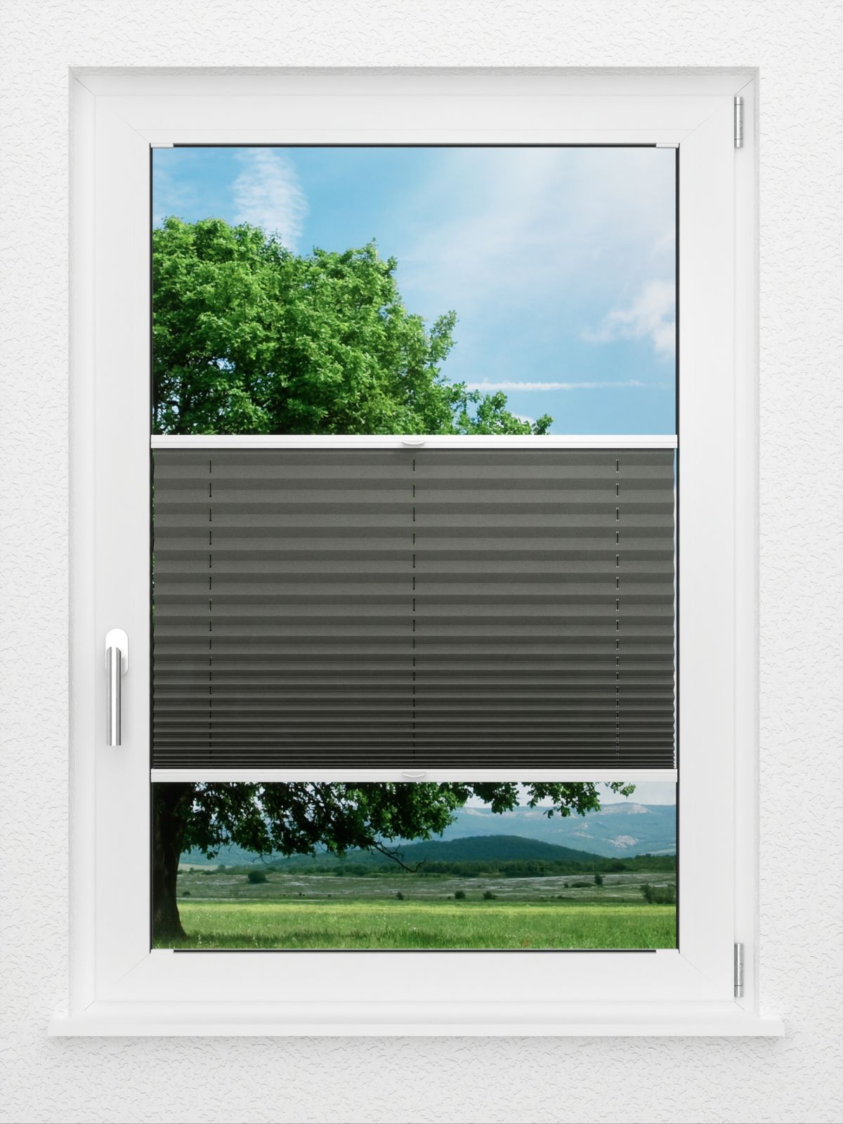 Detailansicht LYSEL HOME Plissee 208A Aralia