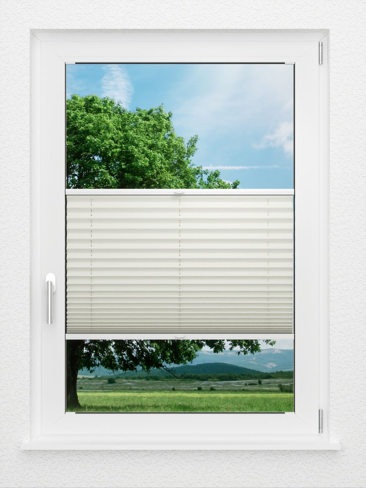 Detailansicht LYSEL HOME Plissee 219A Aralia BO