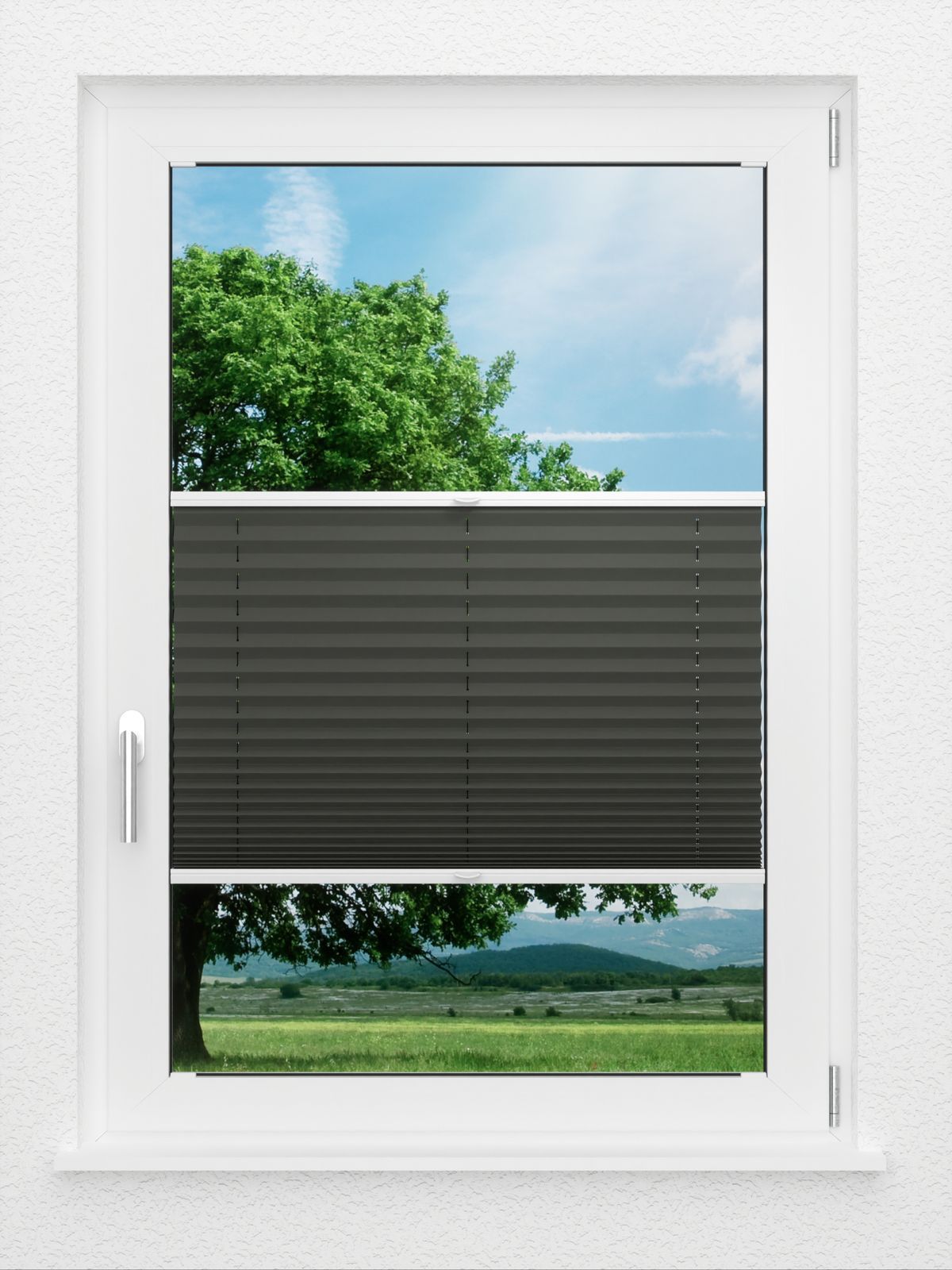 Detailansicht LYSEL HOME Plissee 202A Aralia BO