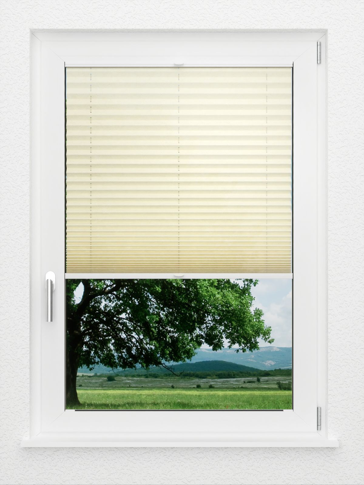 Detailansicht LYSEL HOME Plissee 107A Erinus