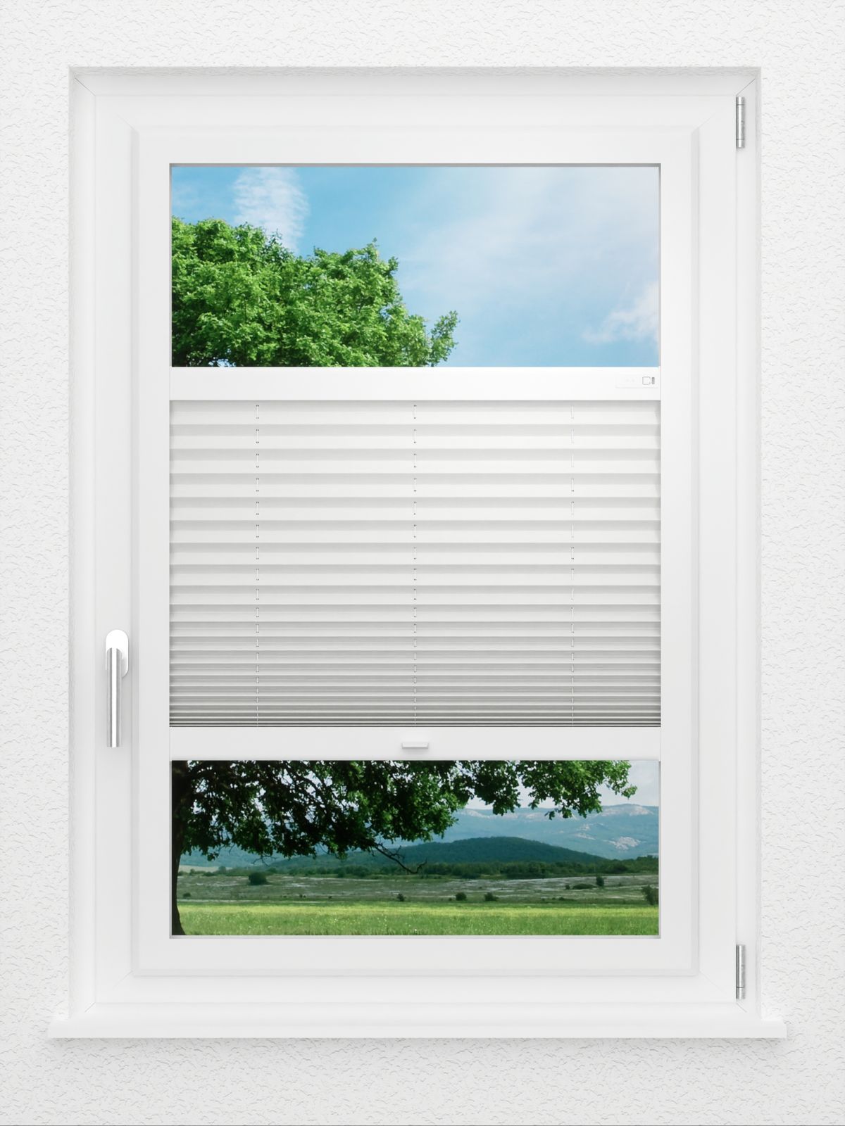 Detailansicht LYSEL HOME Plissee 121A Pinus BO