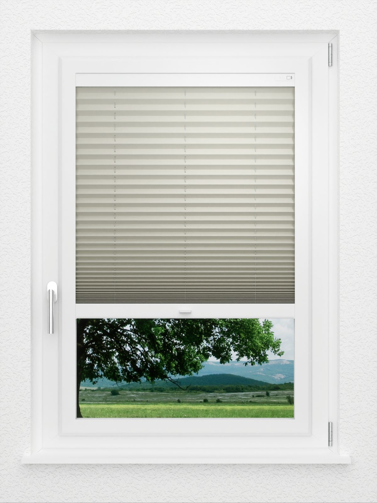 Detailansicht LYSEL HOME Plissee 114A Pinus BO