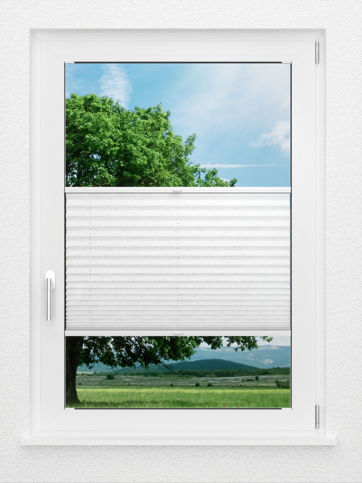 Detailansicht LYSEL HOME Plissee 204A Arum