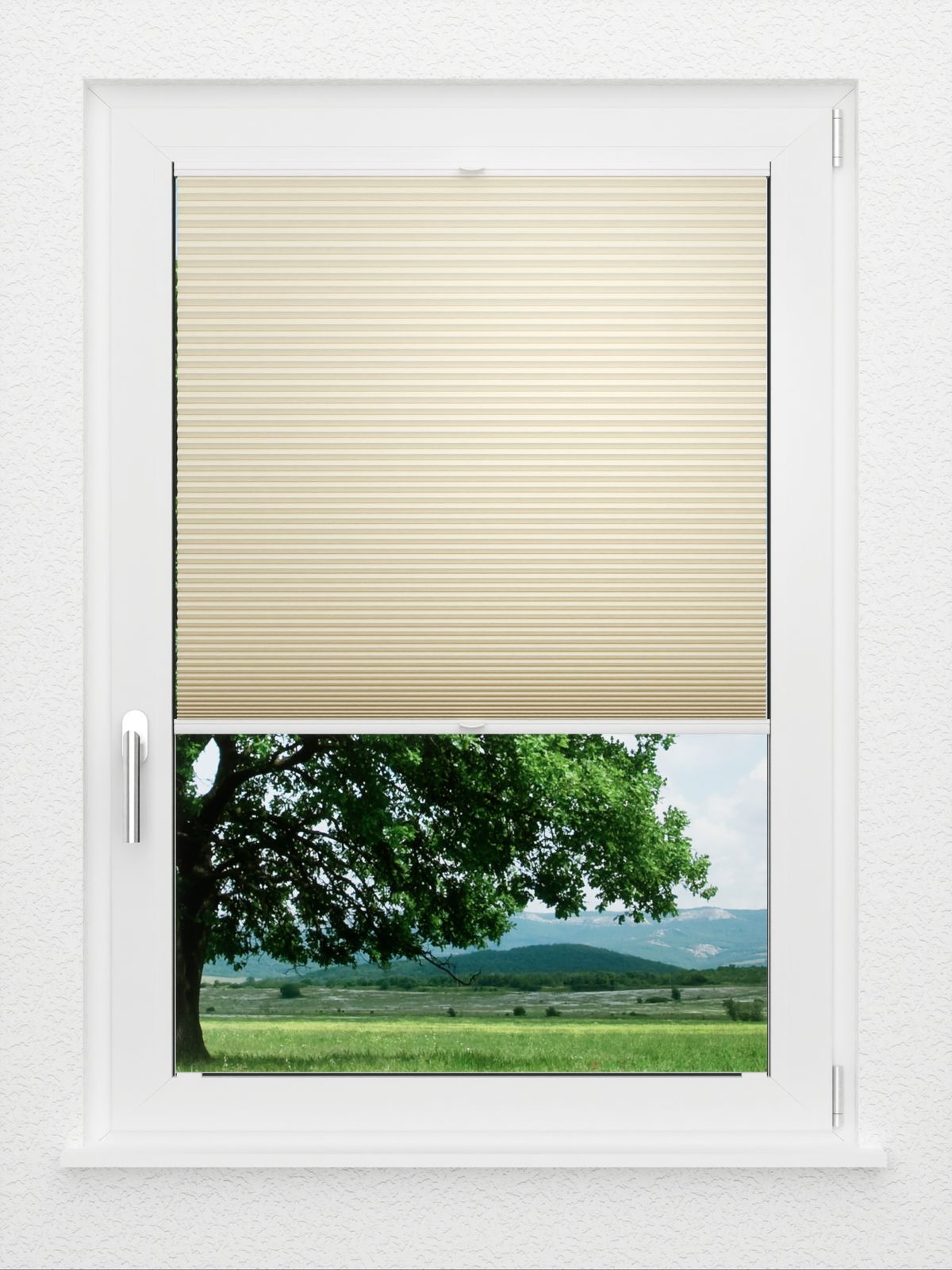 Detailansicht LYSEL HOME Plissee 033A Nana BO Wabe