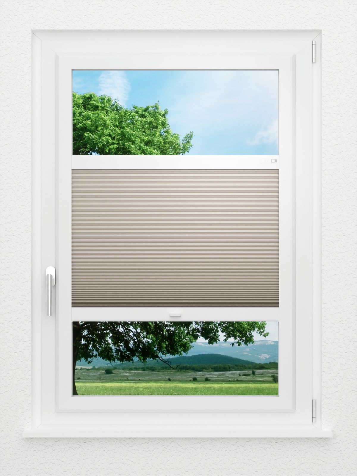 Detailansicht LYSEL HOME Plissee 012A Nana BO Wabe