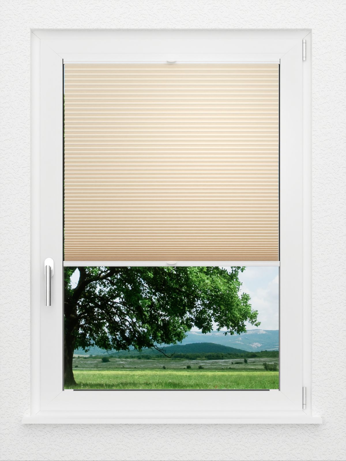 Detailansicht LYSEL HOME Plissee 035A Alba LI Wabe