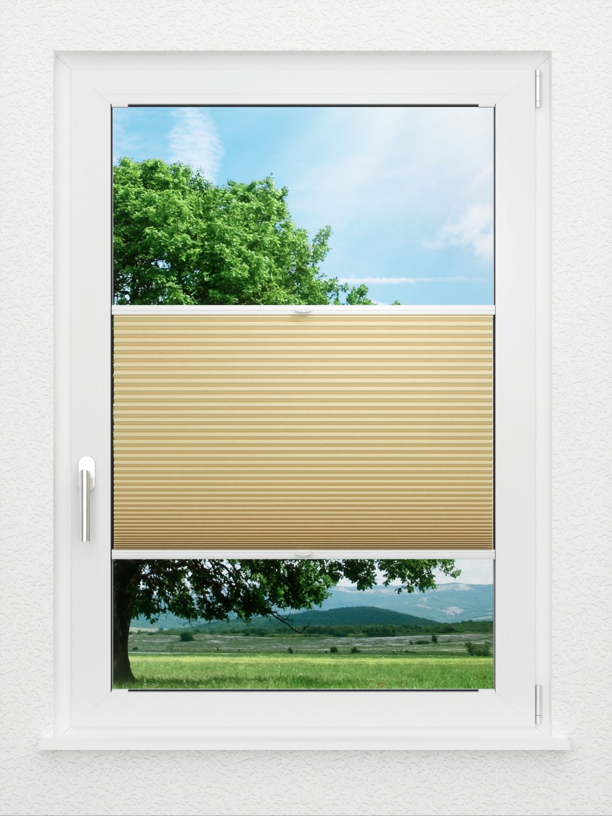 Detailansicht LYSEL HOME Plissee 031A Alba LI Wabe