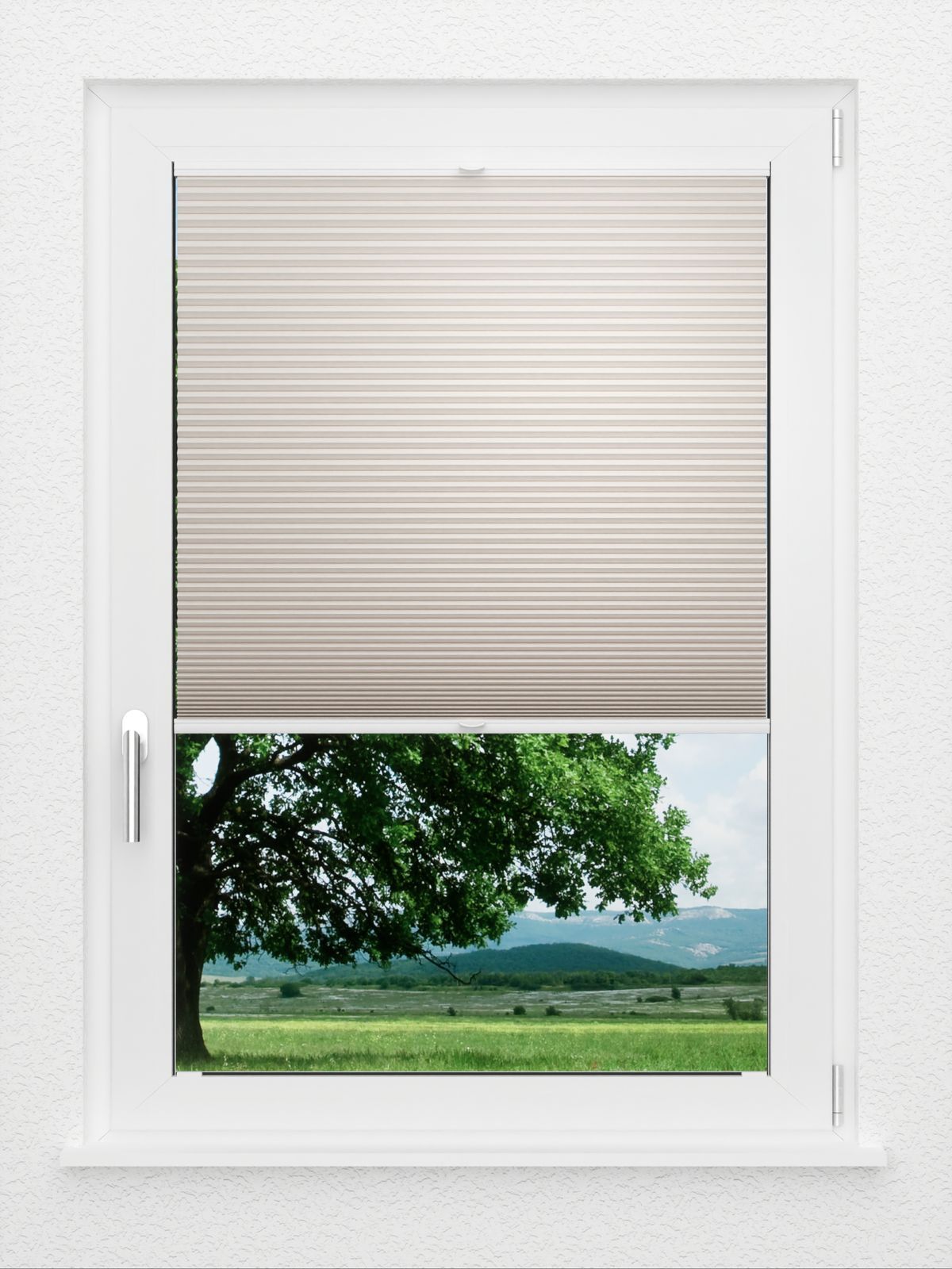 Detailansicht LYSEL HOME Plissee 011A Alba LI Wabe