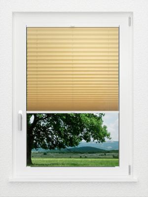 Preview LYSEL HOME Plissee 225A Aralia 1