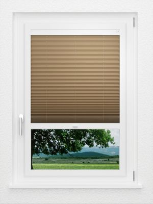 Preview LYSEL HOME Plissee 235A Aralia 1