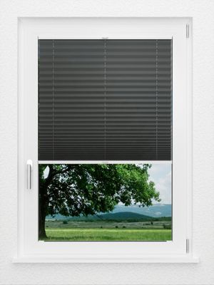 Preview LYSEL HOME Plissee 137A Aralia 1