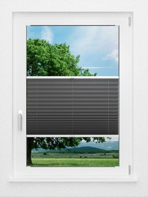 Preview LYSEL HOME Plissee 233A Aralia 0