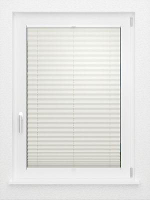 Preview LYSEL HOME Plissee 219A Aralia BO 2