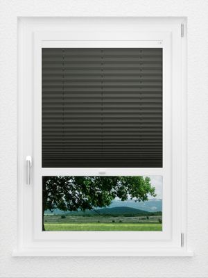 Preview LYSEL HOME Plissee 202A Aralia BO 1