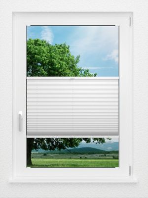 Preview LYSEL HOME Plissee 209A Aralia Pearl 0