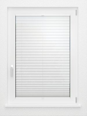 Preview LYSEL HOME Plissee 104A Erinus 2