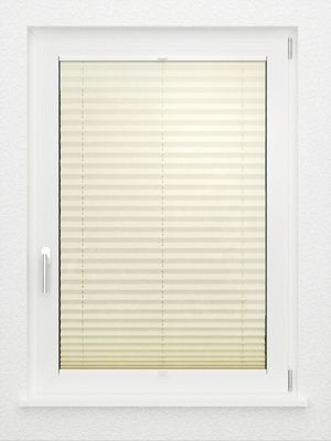 Preview LYSEL HOME Plissee 107A Erinus 2