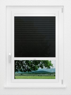 Preview LYSEL HOME Plissee 131A Erinus 1