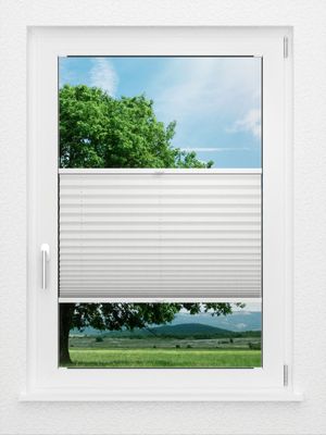 Preview LYSEL HOME Plissee 121A Pinus BO 0