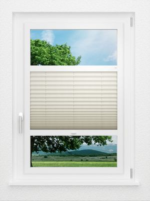 Preview LYSEL HOME Plissee 122A Pinus BO 0