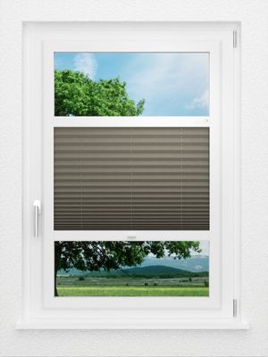 Preview LYSEL HOME Plissee 221A Pinus BO 0