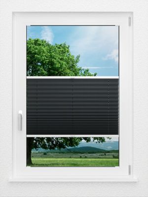 Preview LYSEL HOME Plissee 116A Pinus BO 0