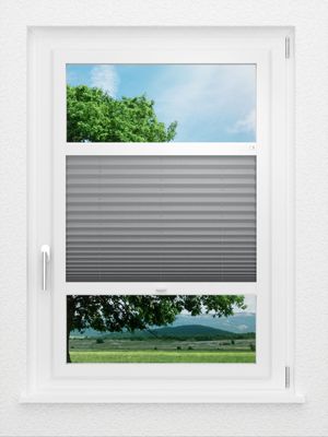 Preview LYSEL HOME Plissee 218A Pinus BO 0