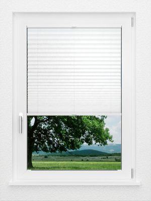 Preview LYSEL HOME Plissee 204A Arum 1