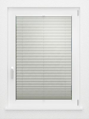 Preview LYSEL HOME Plissee 203A Arum 2