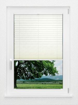 Preview LYSEL HOME Plissee 227A Arum 1