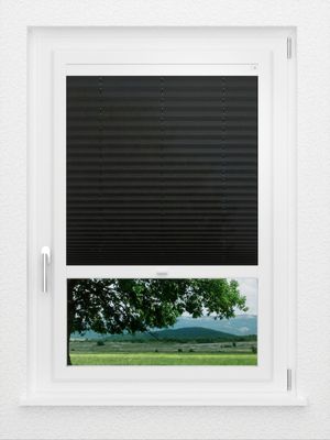 Preview LYSEL HOME Plissee 229A Arum 1